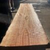 Redwood Slab #2023-11-26-1-2