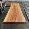 Redwood Slab #2023-11-26-1-1