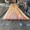 Redwood Slab #2023-11-26-1-2 - Image 3
