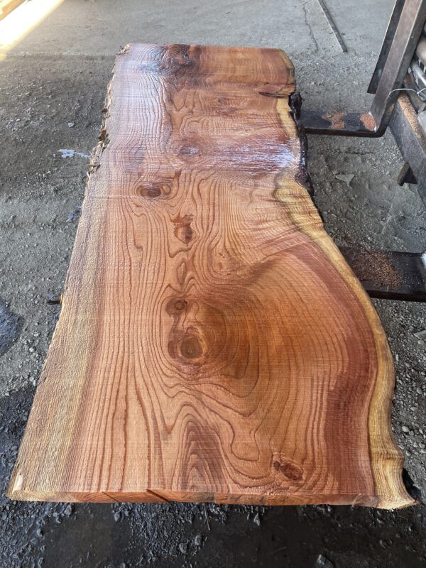 Redwood Slab #2024-10-4-1-2