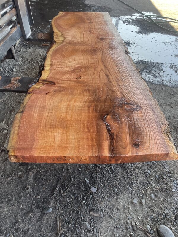 Redwood Slab #2024-10-4-1-2 - Image 2