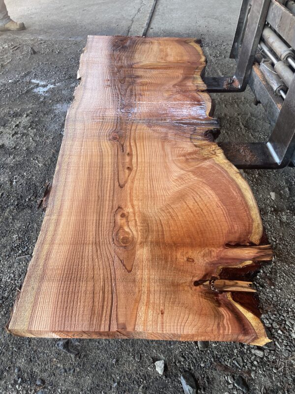 Redwood Slab #2024-10-4-1-3