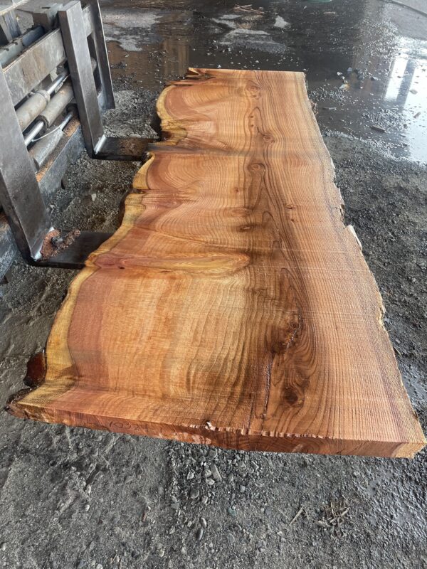 Redwood Slab #2024-10-4-1-3 - Image 2