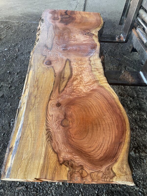 Redwood Slab #2024-10-4-1-4