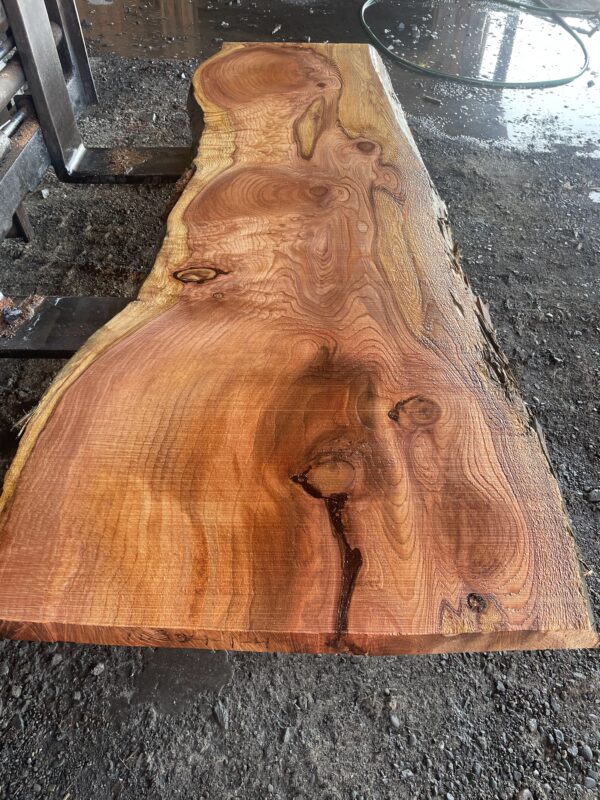 Redwood Slab #2024-10-4-1-4 - Image 2