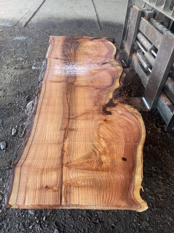 Redwood Slab #2024-10-4-1-5 - Image 2