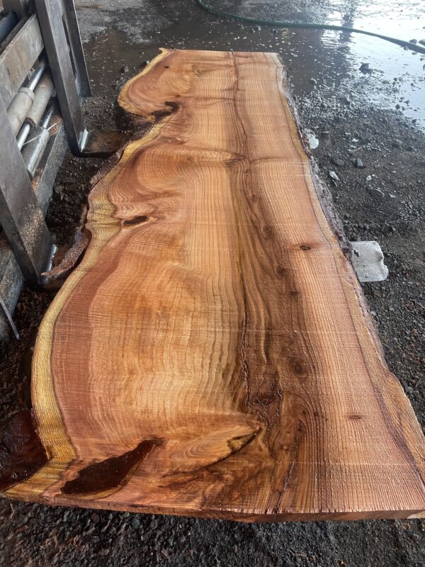 Redwood Slab #2024-10-4-1-5