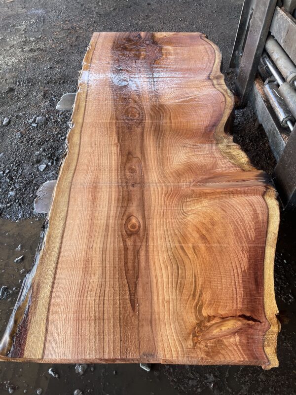 Redwood Slab #2024-10-4-1-6