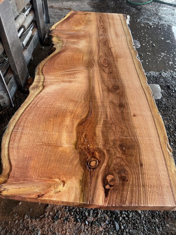 Redwood Slab #2024-10-4-1-6 - Image 2