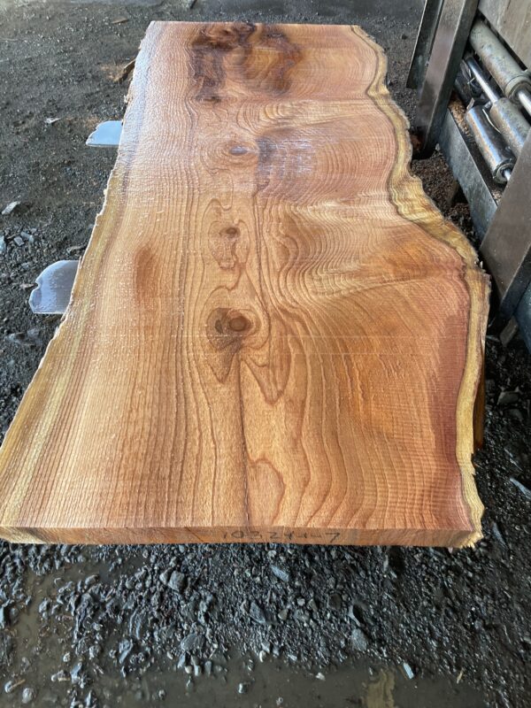 Redwood Slab #2024-10-4-1-7