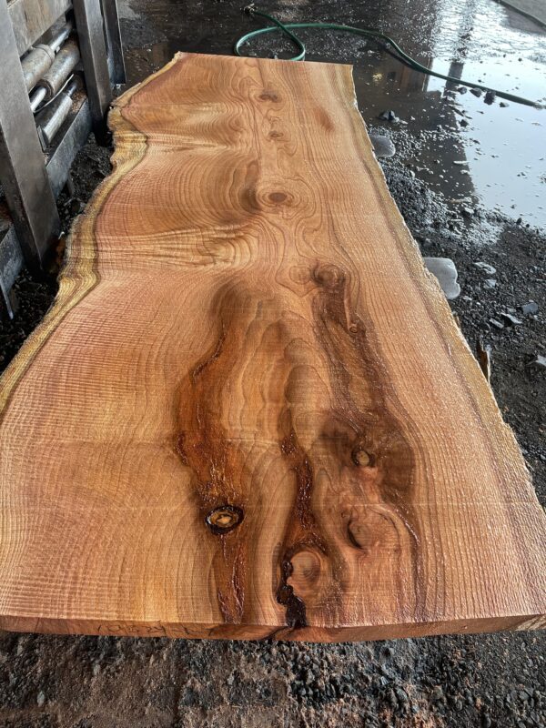 Redwood Slab #2024-10-4-1-7 - Image 2