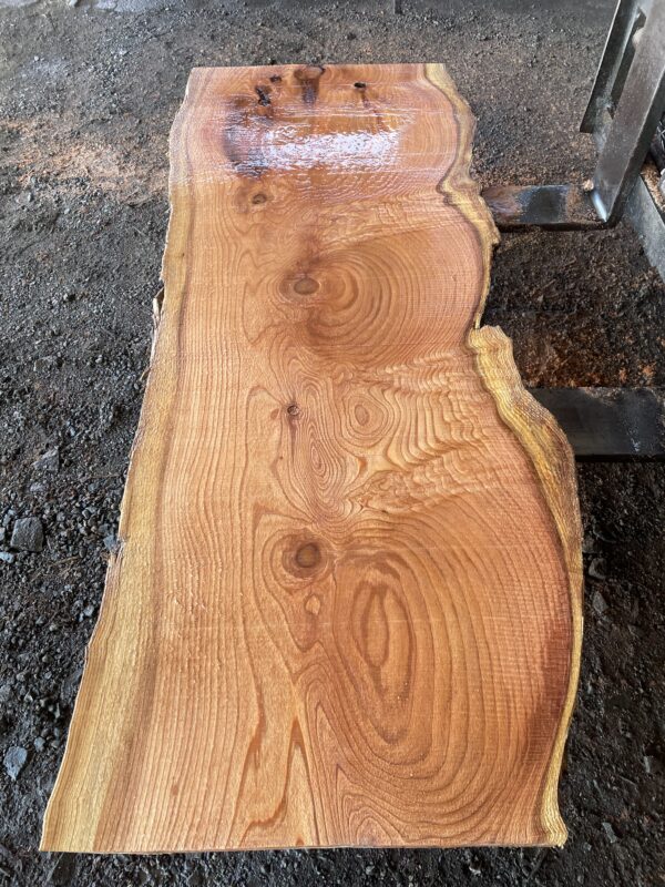 Redwood Slab #2024-10-4-1-8