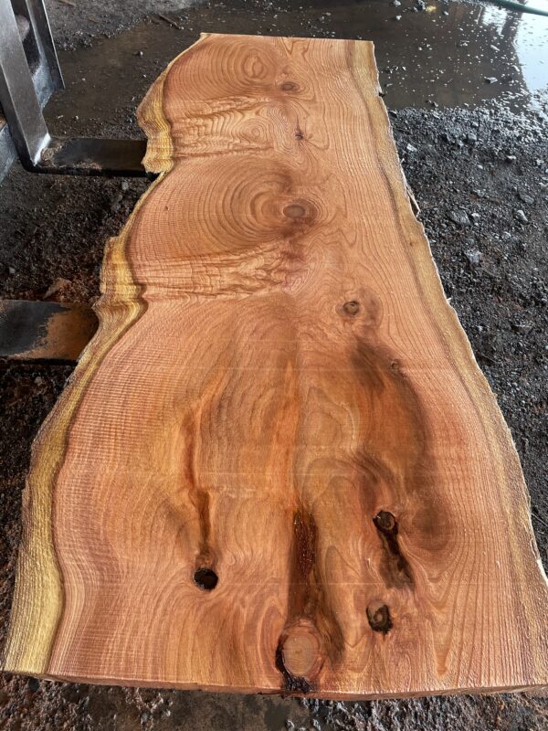 Redwood Slab #2024-10-4-1-8 - Image 2