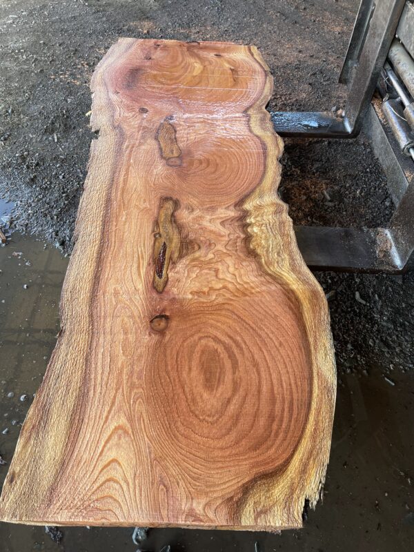 Redwood Slab #2024-10-4-1-9