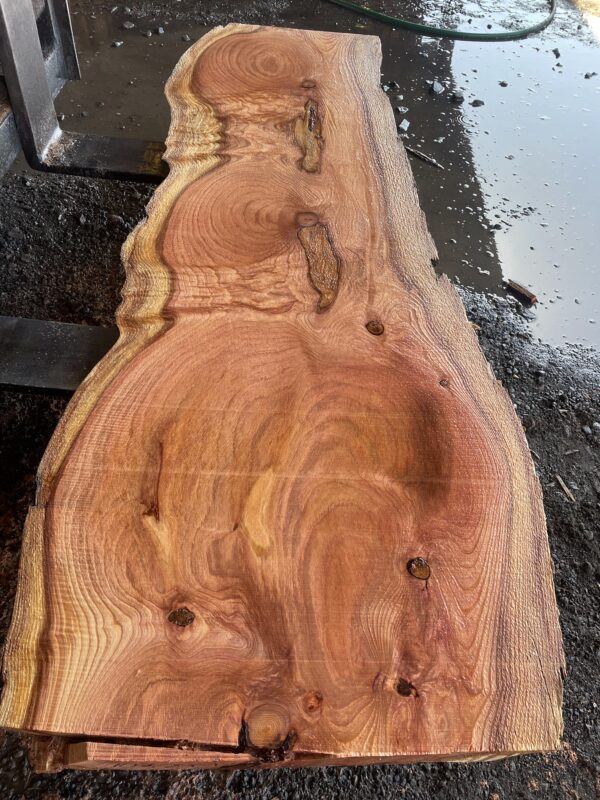 Redwood Slab #2024-10-4-1-9 - Image 2