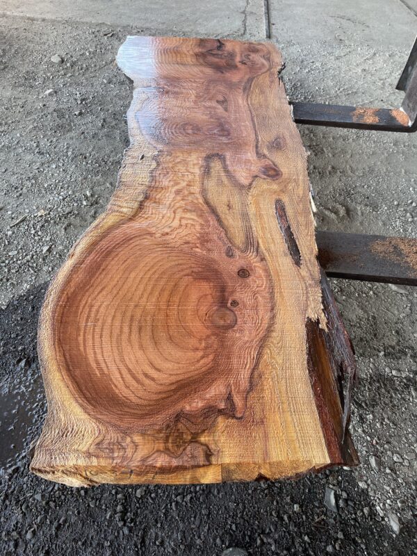 Redwood Slab #2024-10-4-1-2 - Image 2