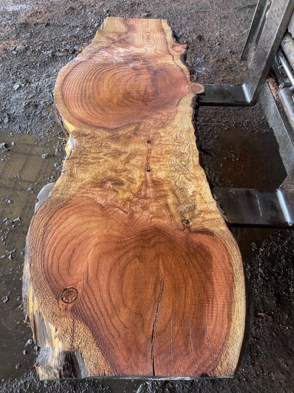 Redwood Slab #2024-10-4-2-2