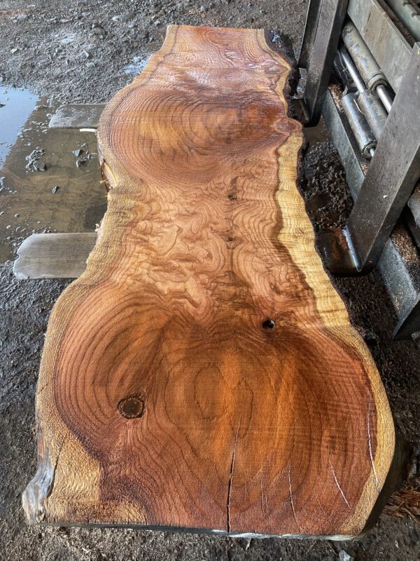 Redwood Slab #2024-10-4-2-3